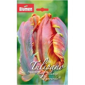 BLUMEN Bulbo fiore  Tulipano rosso,rosa,giallo confezione da 6