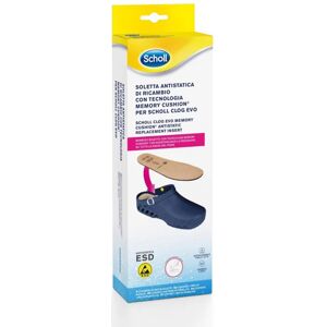 Scholl Clog Evo Soletta A-Static39/40