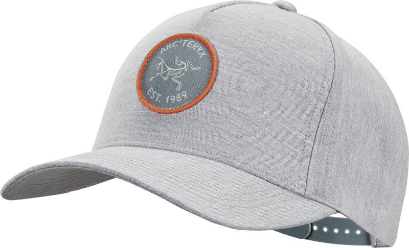 Arc Teryx Bird Patch - cappellino - Grey