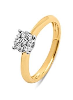 Diamond Point Gouden ring, 0.25 ct diamant, Enchanted - Geelgoud