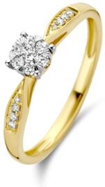 Diamond Point Gouden ring 0.20 ct diamant Enchanted - Geelgoud