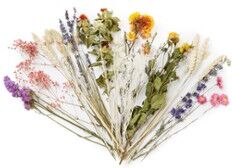 Floriette Wildflowers by Floriette droogbloemen - Roze