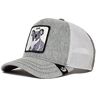 Goorin Bros. Goorin Bros Mr. Nice Guy Hug Koala Grey White Trucker Cap One-Size