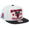 Pet Mitchell And Ness - Wit One size Man