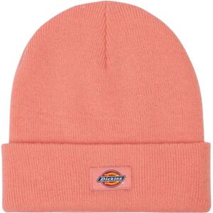 Dickies Gibsland Beanie - Flamingo Plume One Size