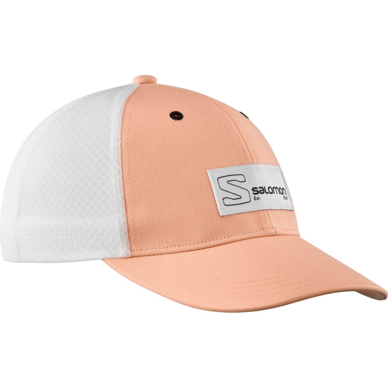 Salomon Trucker Curved Cap Beige