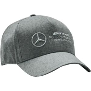 Puma 2023 Mercedes-AMG Petronas Racer Cap (Grey) - One Size Male