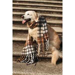 Falling For You Brushed Plaid Scarf at Free People in Saddle - female