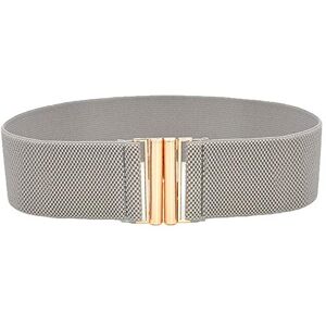 JIER Women's Stretch Elasticated Belts Elasticated Wide Belts Metallic Buckle Wide Elastic Waist Belt Waistband (Light Grey,One Size)