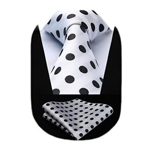 HISDERN White Ties for Men Polka Dot Wedding Tie Handkerchief Formal Business Necktie & Pocket Square Set