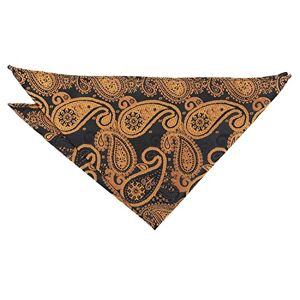 DQT Paisley Bohemian Floral Wedding Pocket Square Handkerchief for Men - Black & Gold