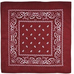 WedDecor Wine Bandana For Men Women Cotton Unisex Paisley Head Scarf Wide Headband Fashion Accessory for Riding, Motorcycling, Hiking, Fishing, Outdoor Activities, 54cm