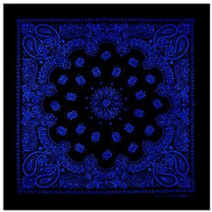 WOWOWO Ethnic Colored Sunflower Double Paisley Floral Unisex Cotton Square Scarf Motorcycle Headband Bandana Hip-Hop Wristband Neck Tie