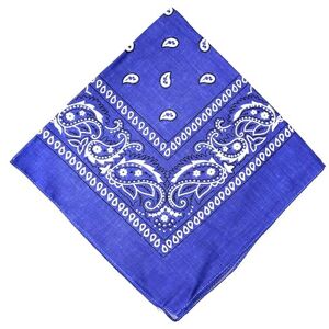 AAMERA Paisley Bandanas for Women Men of Head Scarf Neck Wear Headband as Gifts, Multi-use Bandanas with Paisley Hair Ties (Royal Blue)