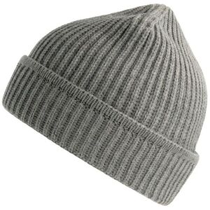 Atlantis Maple Ribbed Recycled Beanie