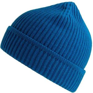 Atlantis Maple Ribbed Recycled Beanie