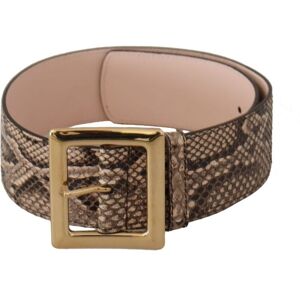 Dolce & Gabbana Womens Beige Exotic Leather Wide Gold Metal Buckle Belt - Brown - Size 65 Cm