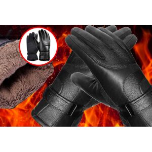 COMPANY BOOM LTD t/a Pollyjoy Men's Leather Winter Touch Screen Gloves