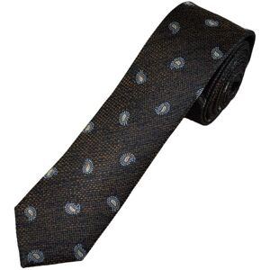 Navy, Brown, Light Blue & Silver Paisley Pattern Luxury Silk Men&apos;s Skinny Tie