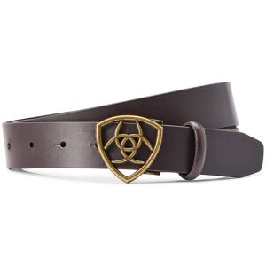 The Shield Belt in Cocoa Leather, Size: XS by Ariat