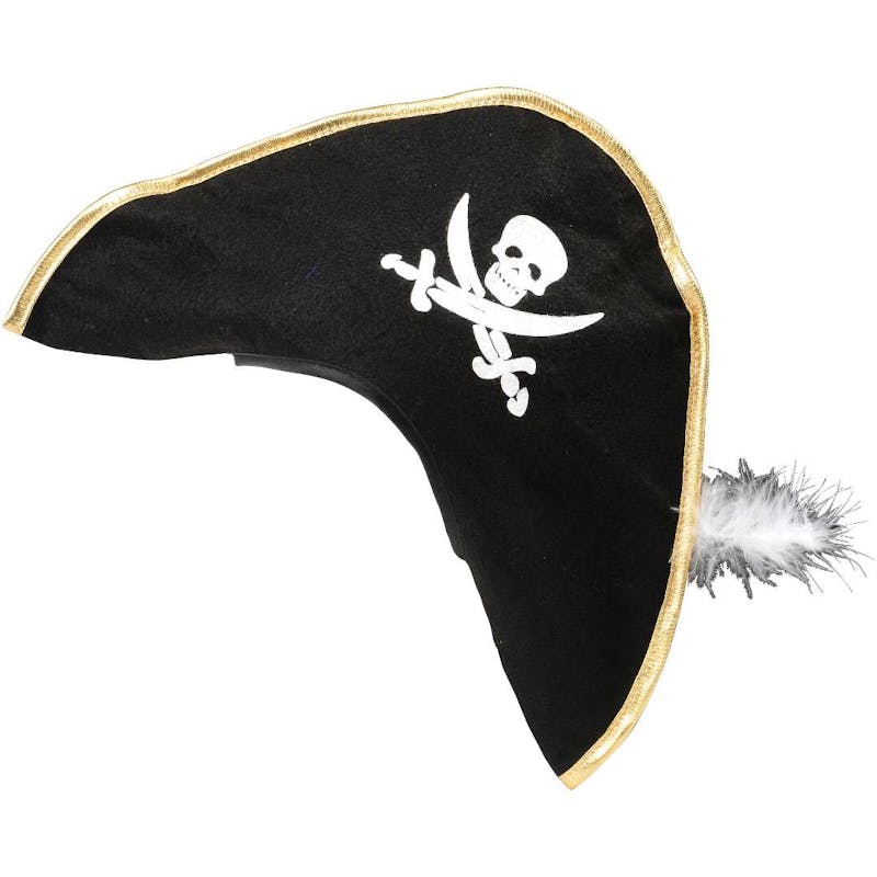 Skull and Crossed Swords Pirate Hat with Feather
