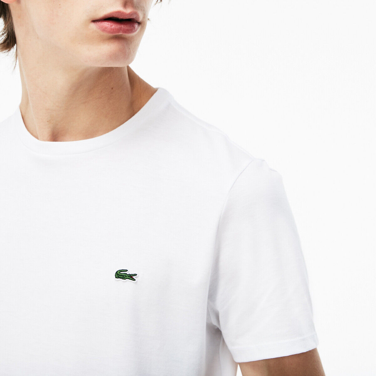 LACOSTE T-shirt col rond en jersey de coton