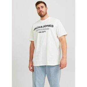 Jack & Jones PlusSize Kurzarmshirt »JJGALE TEE SS O-NECK PLS« cloud dancer  4XL