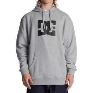 Kapuzensweatshirt DC SHOES 