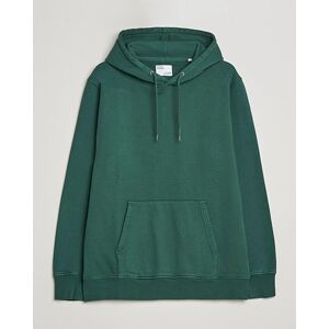 Colorful Standard Classic Organic Hood Emerald Green