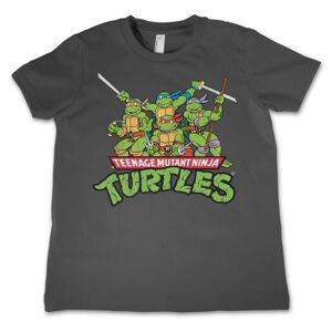 Teeange Mutant Ninja Turtles Distressed Group Kids T-Shirt 8Years-M