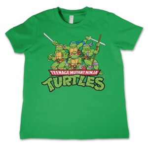 Teeange Mutant Ninja Turtles Distressed Group Kids T-Shirt 10Years-L