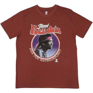 Jimi Hendrix Unisex T-Shirt: Are You Experienced (XX-Large)