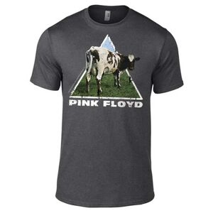 Pink Floyd - Atom Heart  t-shirt Dark Grey