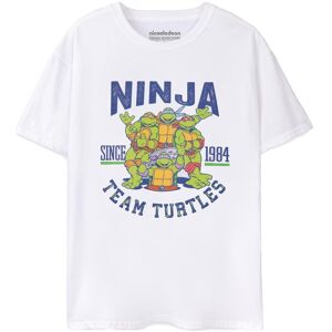 Teenage Mutant Ninja Turtles Mens 1984 Collegiate Short-Sleeved T-Shirt