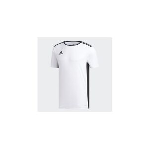 Adidas Entrada Jersey, T-shirt, Voksen, Hanstik, Hvid, Black, Monokromatisk