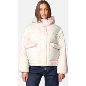 Levis Puffer Jacket - Luna Brun Male EU 41.5