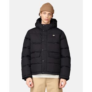 Dickies Pufferjakke - Glacier View Sort Male S