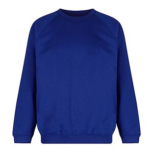 Trutex Limited Unisex Crew Neck Plain Sweatshirt, Cobalt, 5-6 Years (Manufacturer Size: 22-23