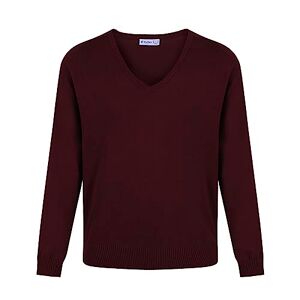 Trutex Limited Boy's Cotton V Neck Plain Jumper, Maroon, 15 Years (Manufacturer Size: Large)