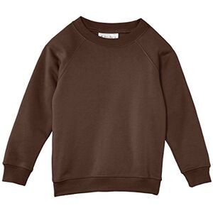 Trutex Limited Boys 260G Crew Neck Plain Sweatshirt, Brown, 1-3 Years (Manufacturer Size:2/3)