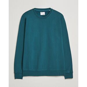 Colorful Standard Classic Organic Crew Neck Sweat Ocean Green men XS Grøn