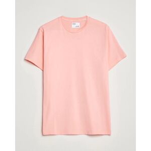 Colorful Standard Classic Organic T-Shirt Bright Coral men S Pink