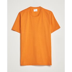 Colorful Standard Classic Organic T-Shirt Burned Orange men XXL Orange