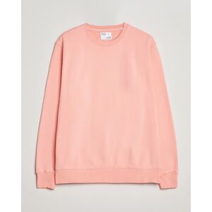 Colorful Standard Classic Organic Crew Neck Sweat Bright Coral men XS Pink