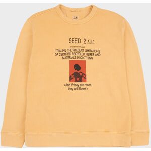 C.P Company Seed 2 Sweatshirt Pale Orange L