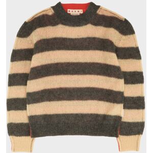 Marni Striped Duo Knit Grey/Coral 48