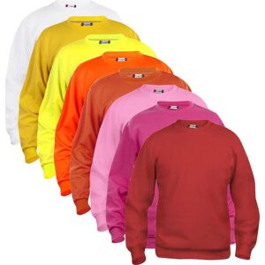 Clique 21030 Basic Roundneck / Sweatshirt / Trøje Apple Green 2xl