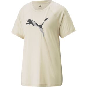 Puma Evostripe Tshirt Damer Kortærmet Tshirts Brun Xl