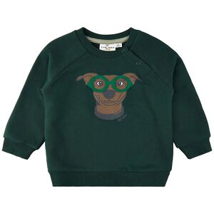 The New Siblings Sweatshirt - Tnshany - Green Gables M. Hund - The New - 1 År (80) - Sweatshirt