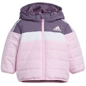 Adidas Performance Dynejakke - In F Pad Jkt - Shavio - Adidas Performance - 74 - Dunjakke